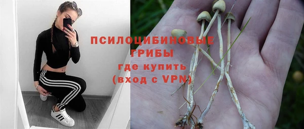 амфетамин Алексин
