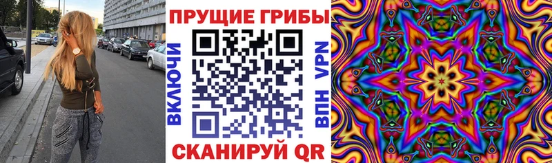 Галлюциногенные грибы GOLDEN TEACHER Дудинка